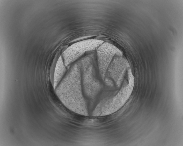 X0000113000174200909241309