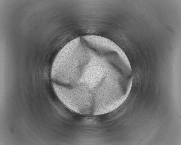 X0000113000175200909241309