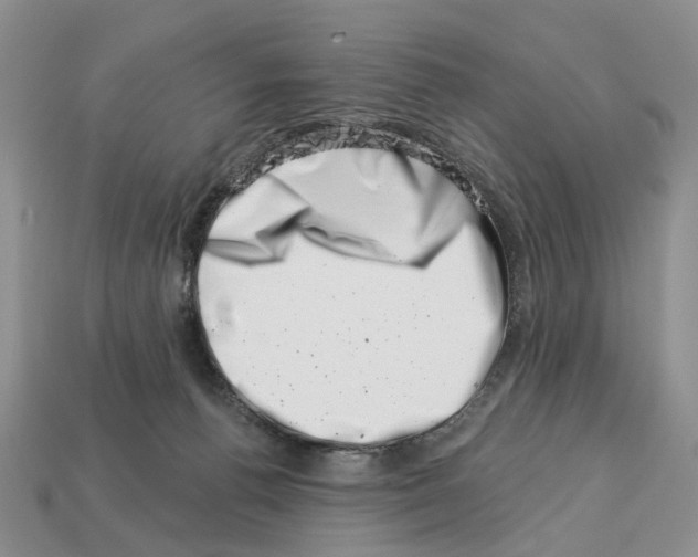 X0000113000176200909241309