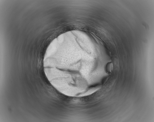 X0000113000177200909241309