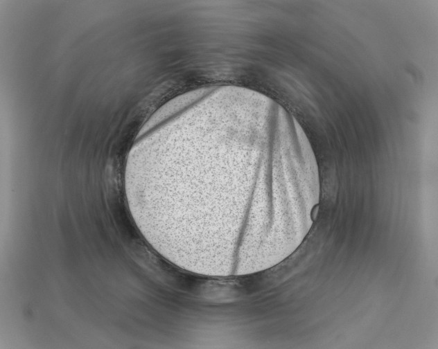 X0000113000179200909241309