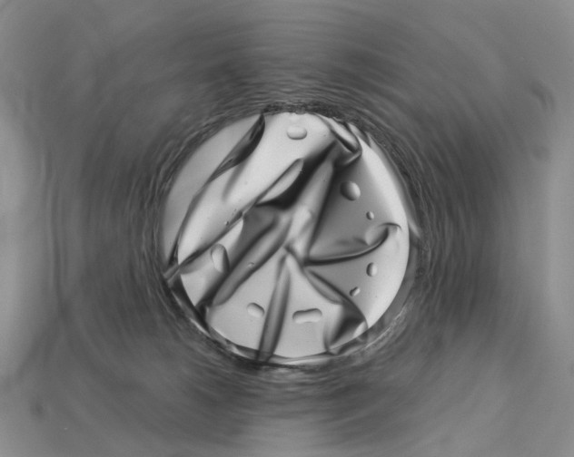 X0000113000180200909241309