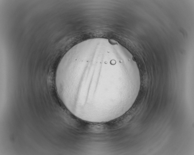 X0000113000181200909241309