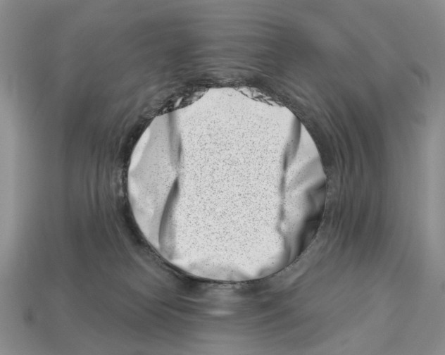 X0000113000182200909241309