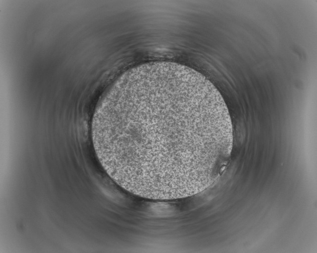 X0000113000183200909241309