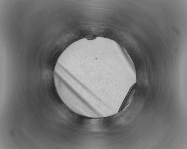 X0000113000184200909241309