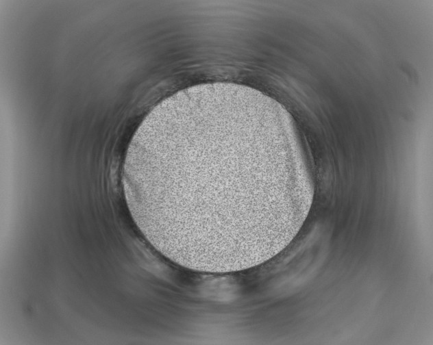 X0000113000185200909241309