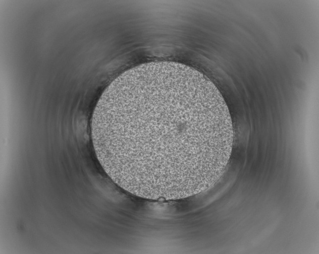 X0000113000187200909241309