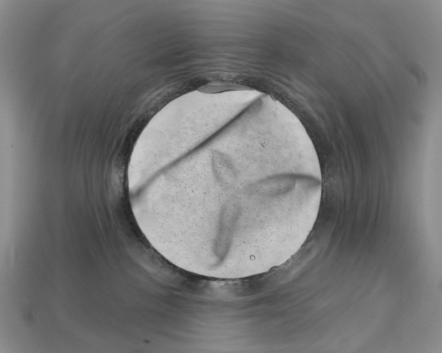 X0000113000188200909241309