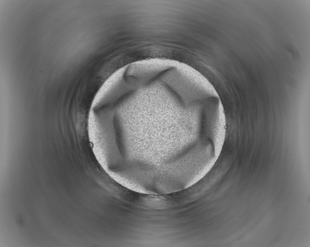 X0000113000189200909241309