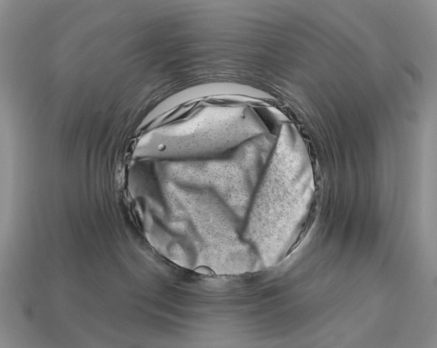 X0000113000190200909241309