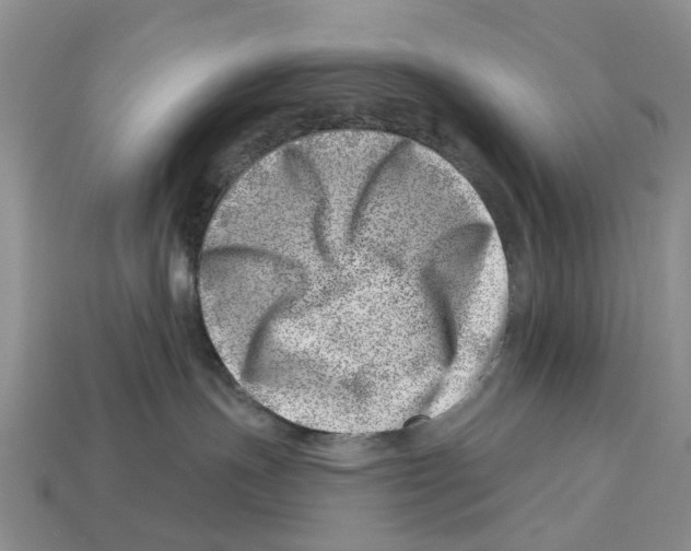 X0000113000191200909241309