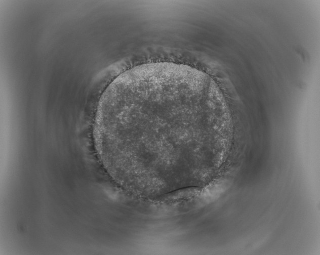 X0000113000192200909241309