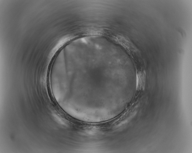 X0000113000195200909241308