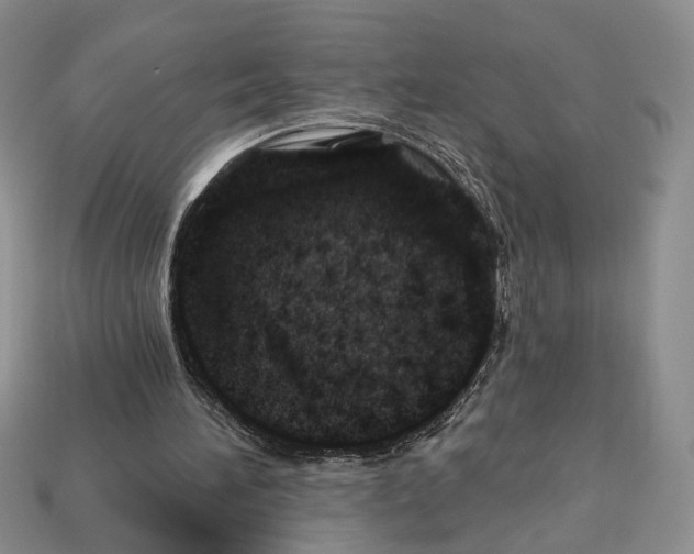 X0000113000196200909241308