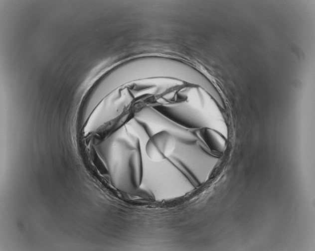 X0000113000199200909241308