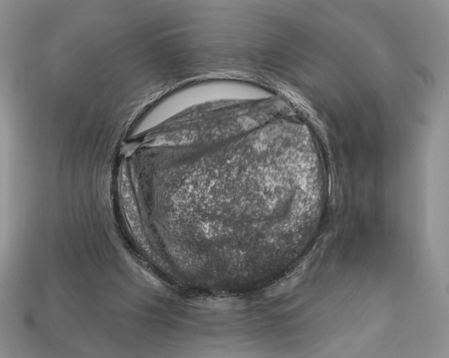 X0000113000201200909241308