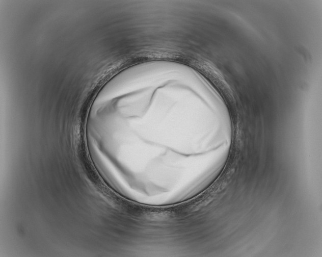 X0000113000202200909241308