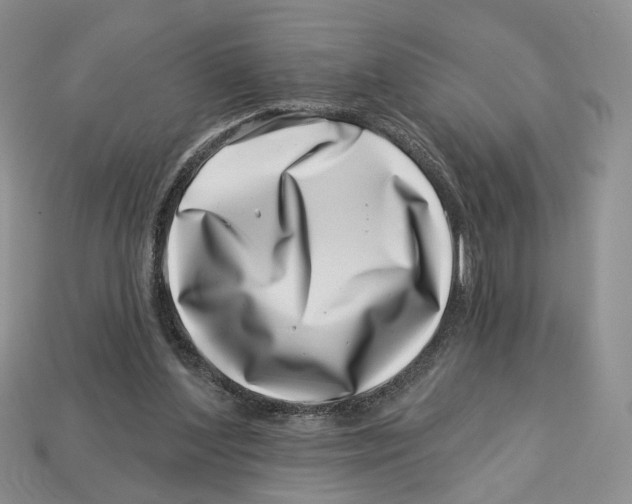 X0000113000204200909241308