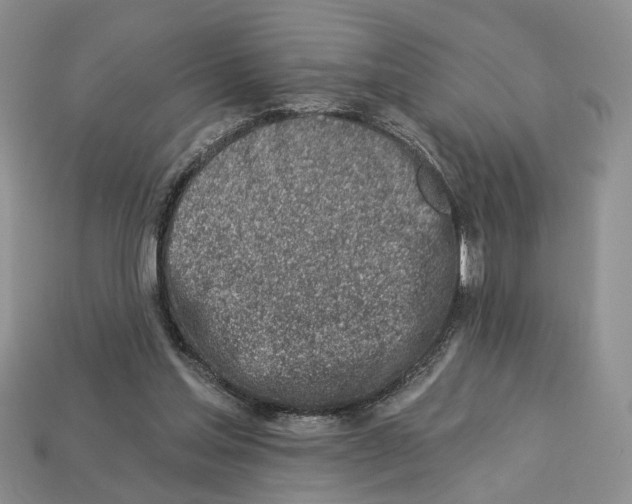 X0000113000205200909241308