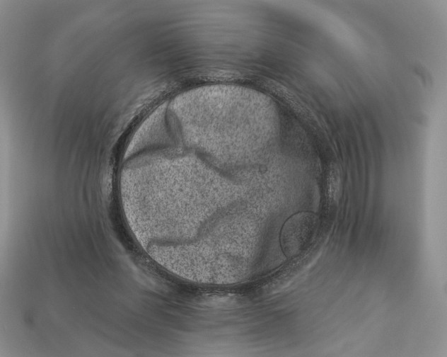 X0000113000206200909241308