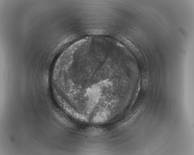 X0000113000207200909241308