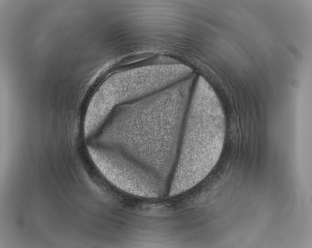 X0000113000208200909241308