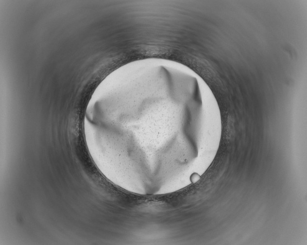 X0000113000210200909241308