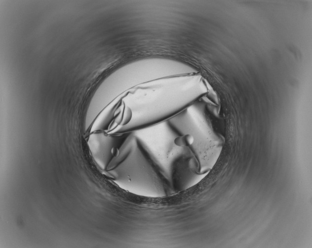 X0000113000211200909241308