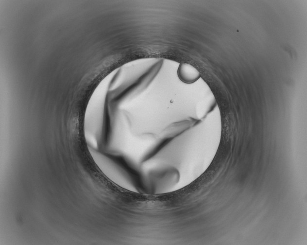 X0000113000212200909241308