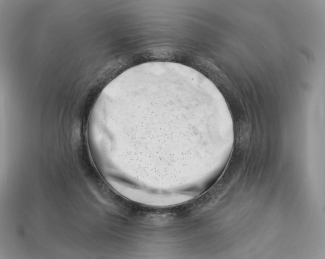 X0000113000213200909241308