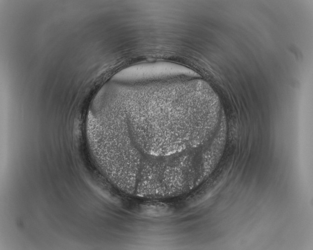 X0000113000215200909241308