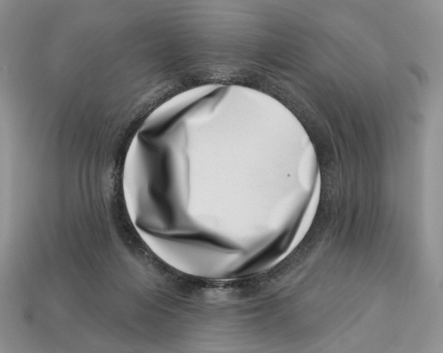 X0000113000216200909241308