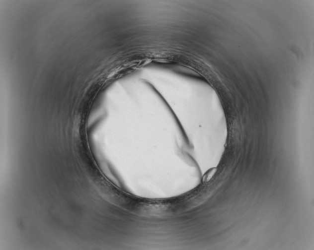 X0000113000217200909241308