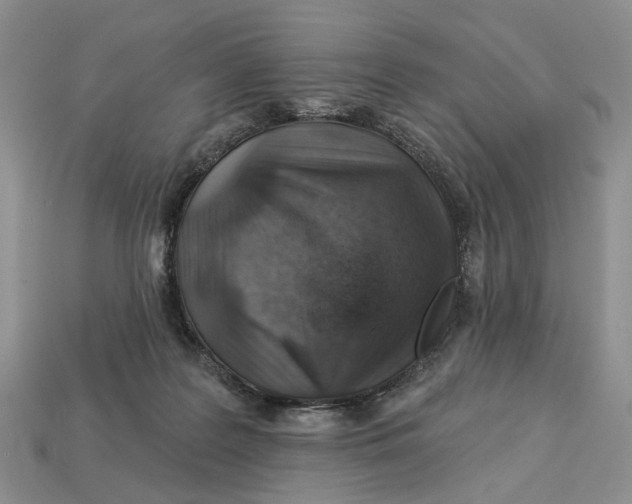 X0000113000219200909241308