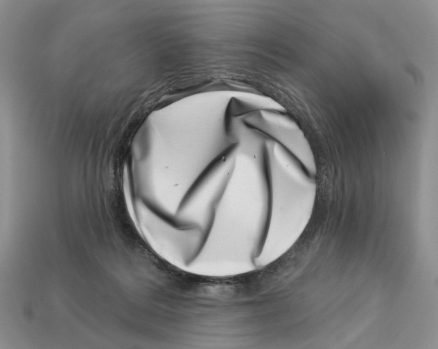 X0000113000220200909241308