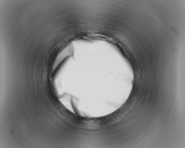 X0000113000221200909241308