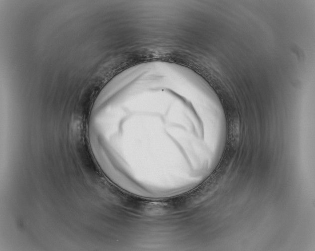 X0000113000222200909241308