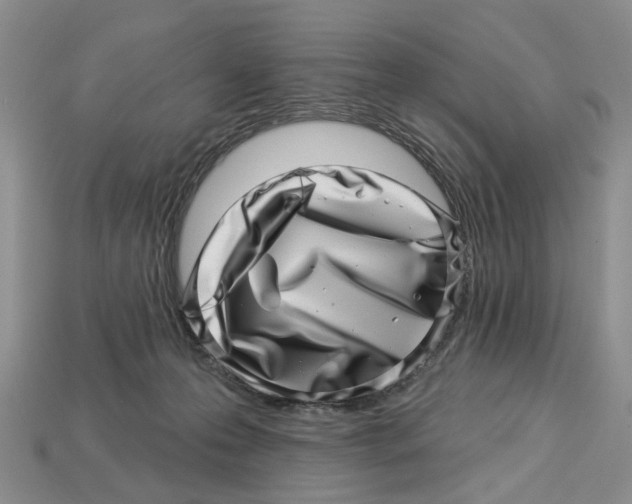 X0000113000223200909241308