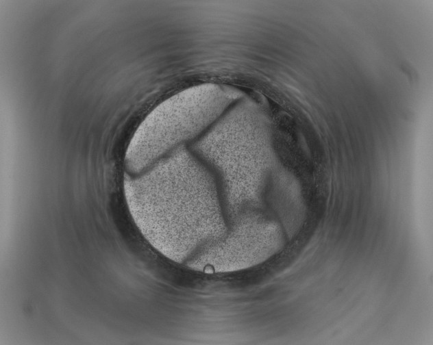 X0000113000224200909241308