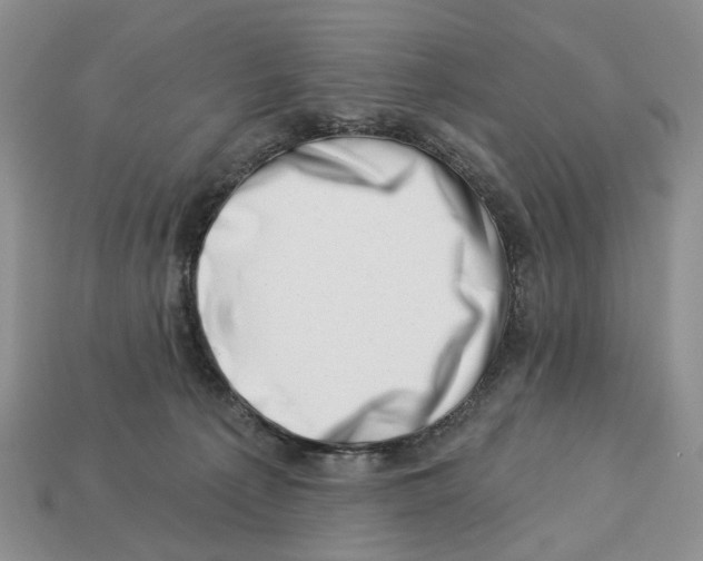 X0000113000225200909241308