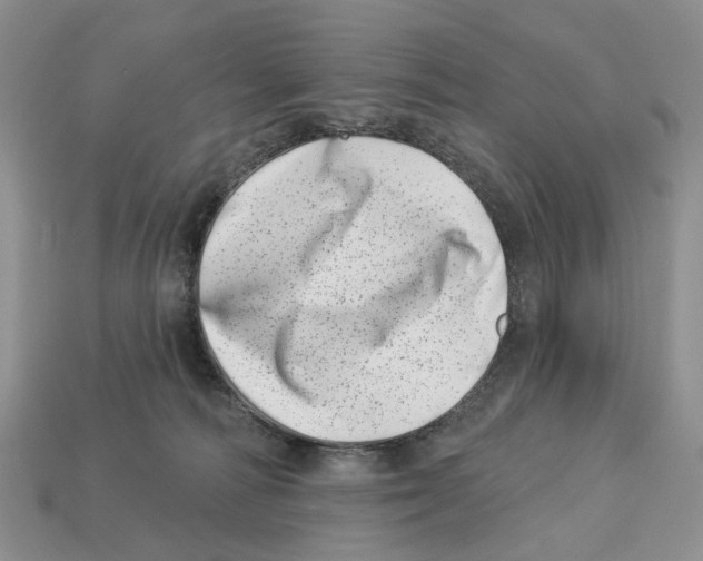 X0000113000226200909241308