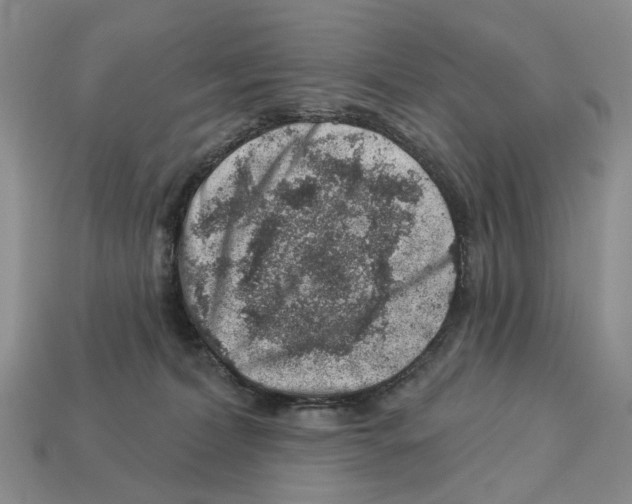 X0000113000228200909241308