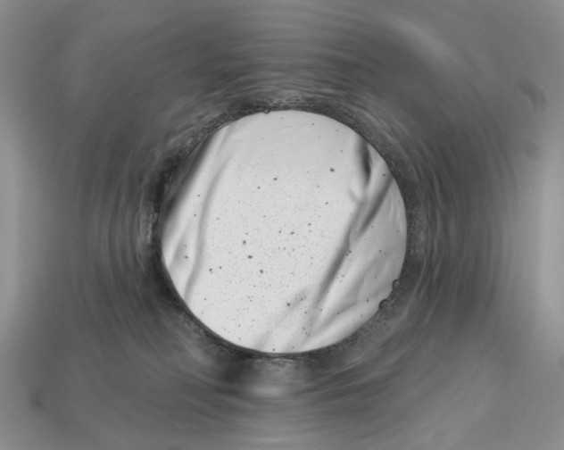 X0000113000230200909241308