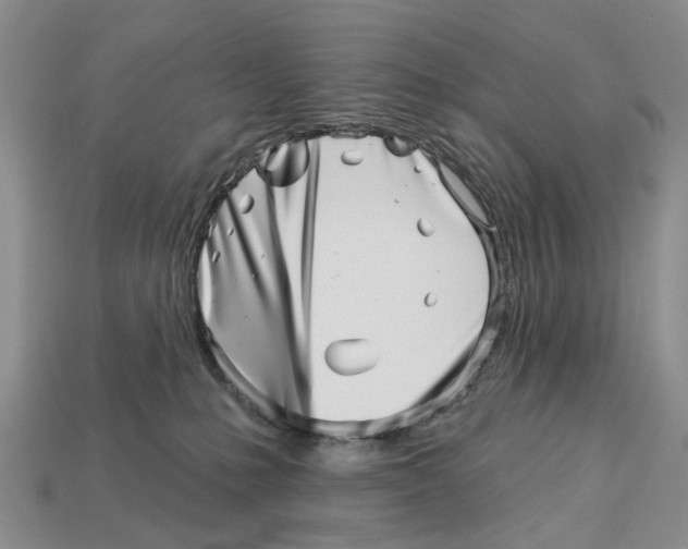 X0000113000231200909241308