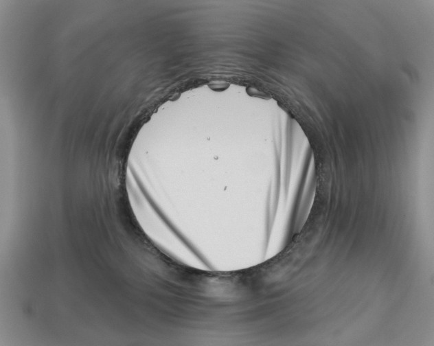 X0000113000232200909241308