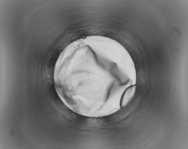 X0000113000234200909241308