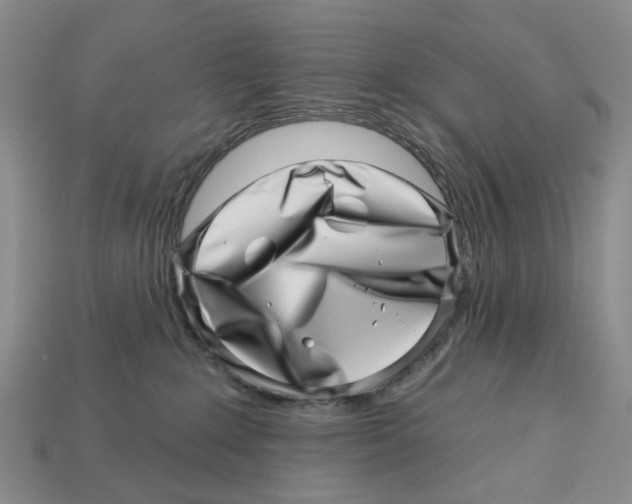 X0000113000235200909241308