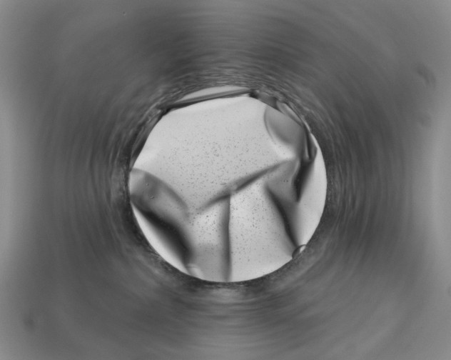 X0000113000236200909241308