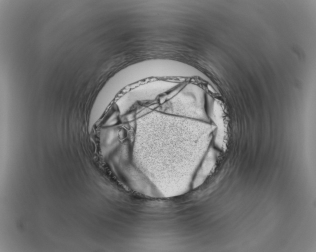 X0000113000237200909241308